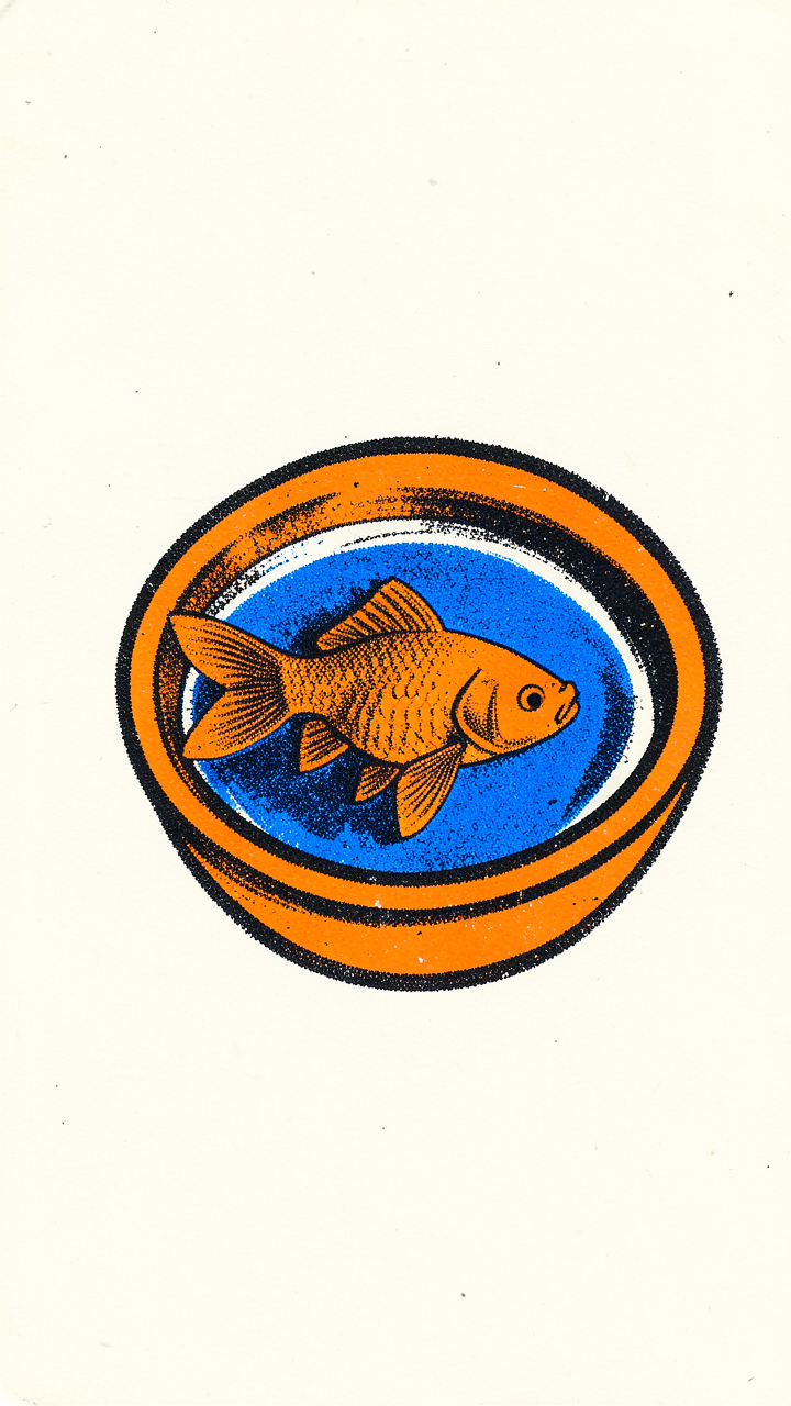 vertical 9:20 risograph print of a single goldfish swimming in a small bowl, usi